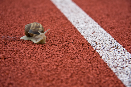 snail finish line